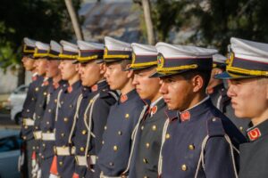 ペット保険を選ぶ際に続けやすいプランはどれですか？