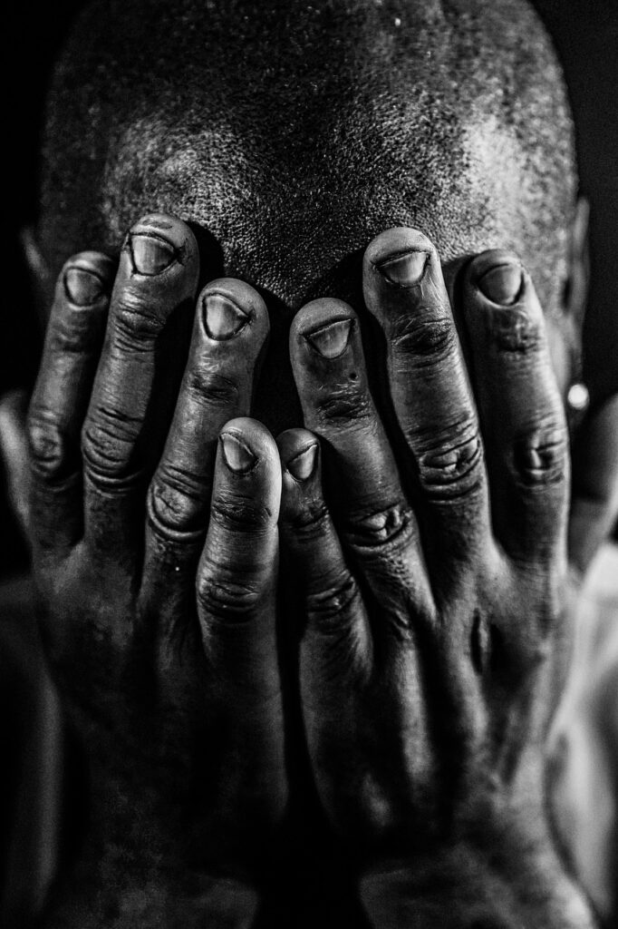 初年度0円のペット保険まとめとそのメリットは？