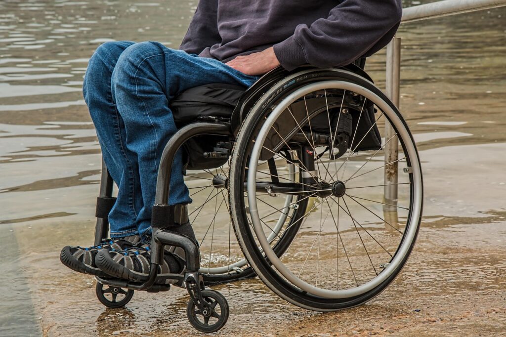 ペット保険の医療特約はどんな詳細があるの？