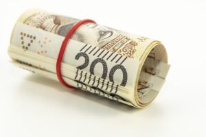 ペット保険の銀行振込での支払いはどうすればいい？