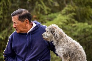 ペット保険の支払いが遅い理由と口コミは何？