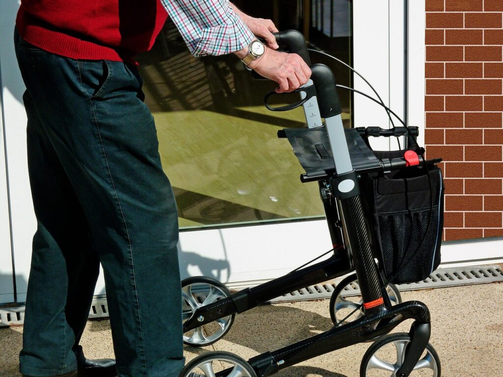 ペット保険は更新後に値上がりする？比較して知っておきたい注意点とは？