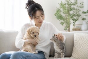 ペット保険の解約手続きはどのように行えばいいの？