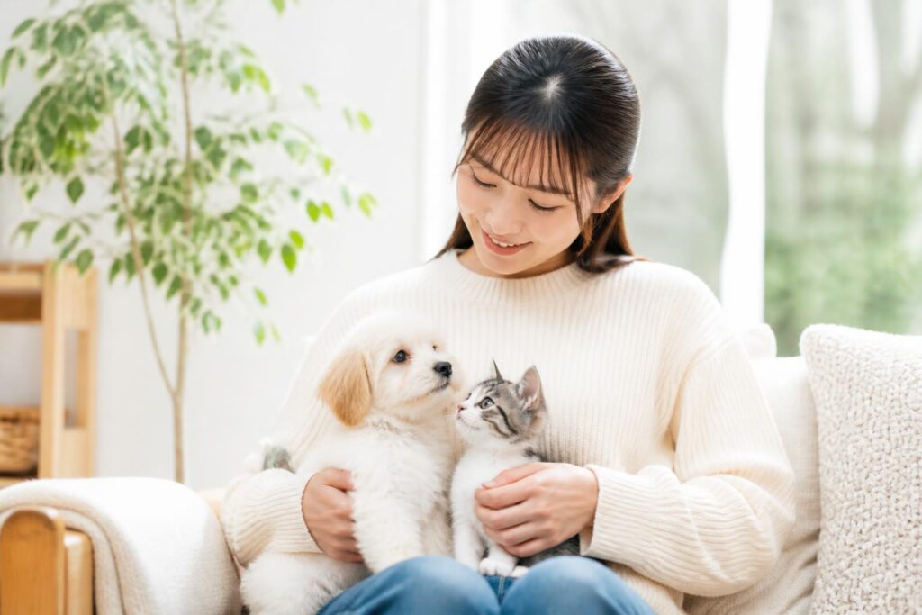 ペット保険の初年度無料は本当にお得？比較で見るべきポイントとは？