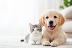 ペット保険の通院とはどのような内容が含まれるのか？