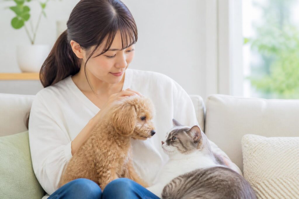 ペット保険は小型犬にとって本当に安い理由とは？