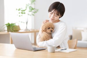ペット保険の申込みに必要な書類は何？