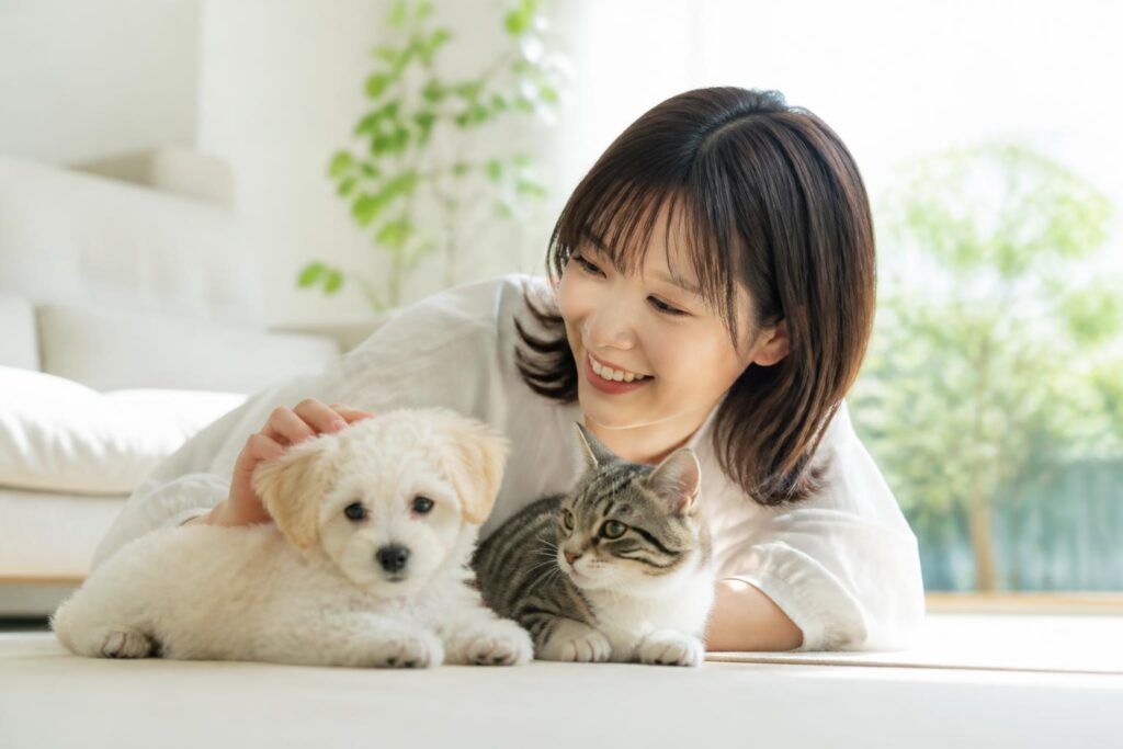 子犬のペット保険を比較するならどれがおすすめ？