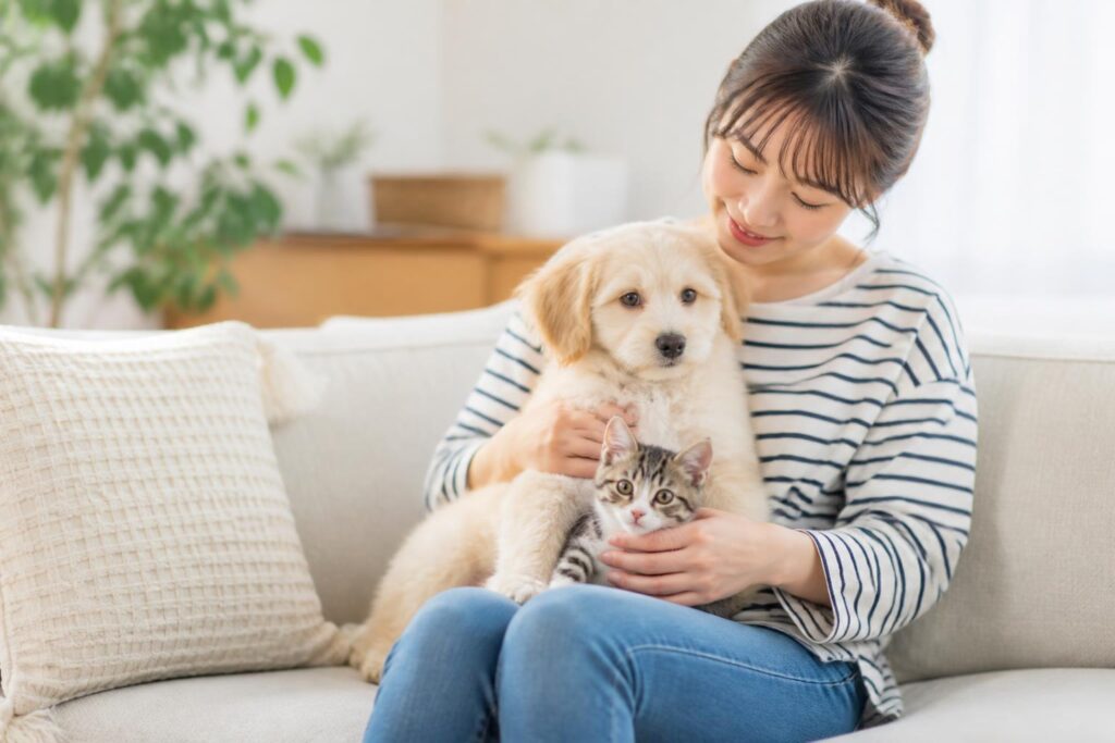 ペット保険の口コミを比較しておすすめを選ぶには？